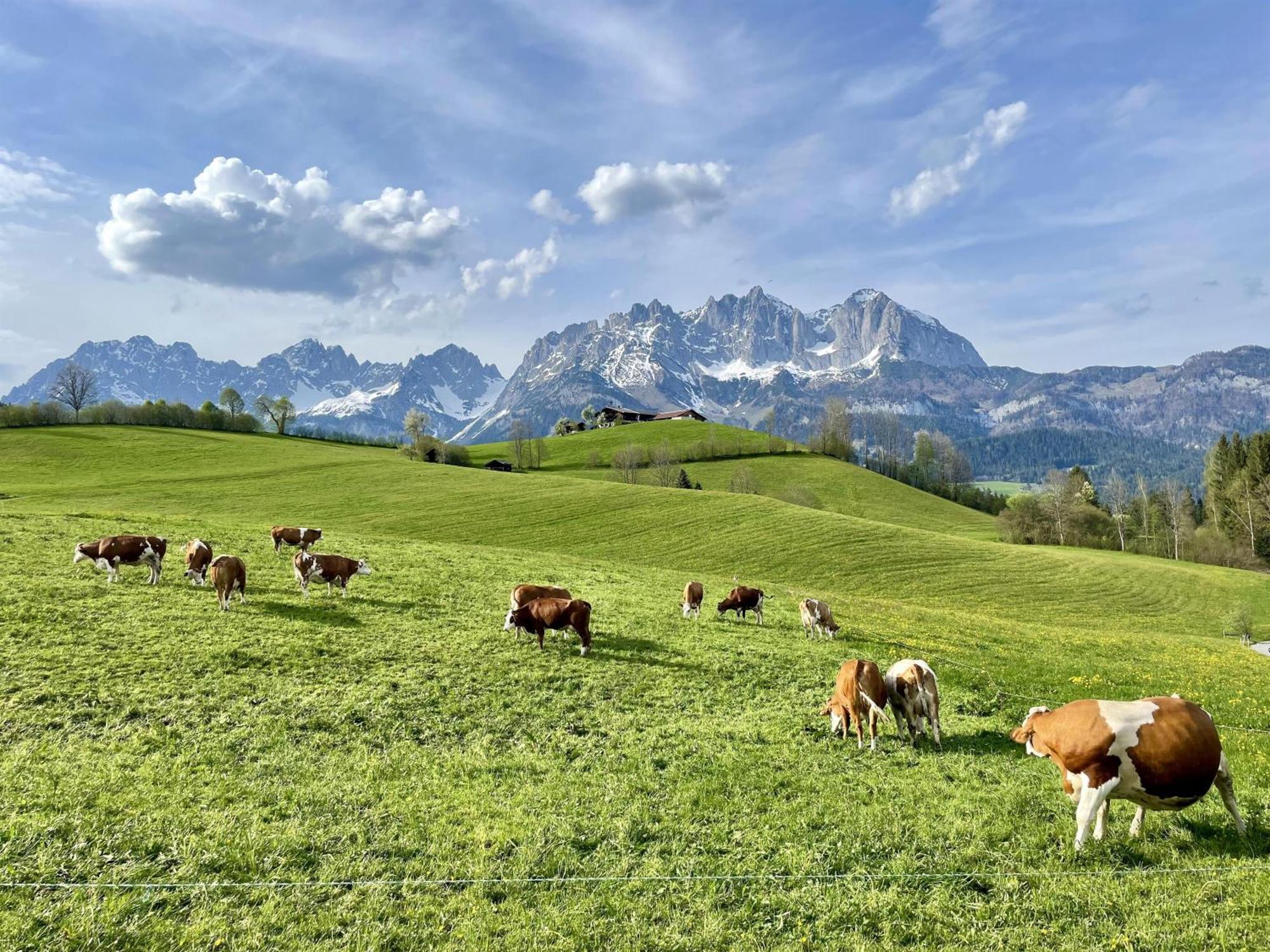 Fritzenhof Agroturismo Prama
