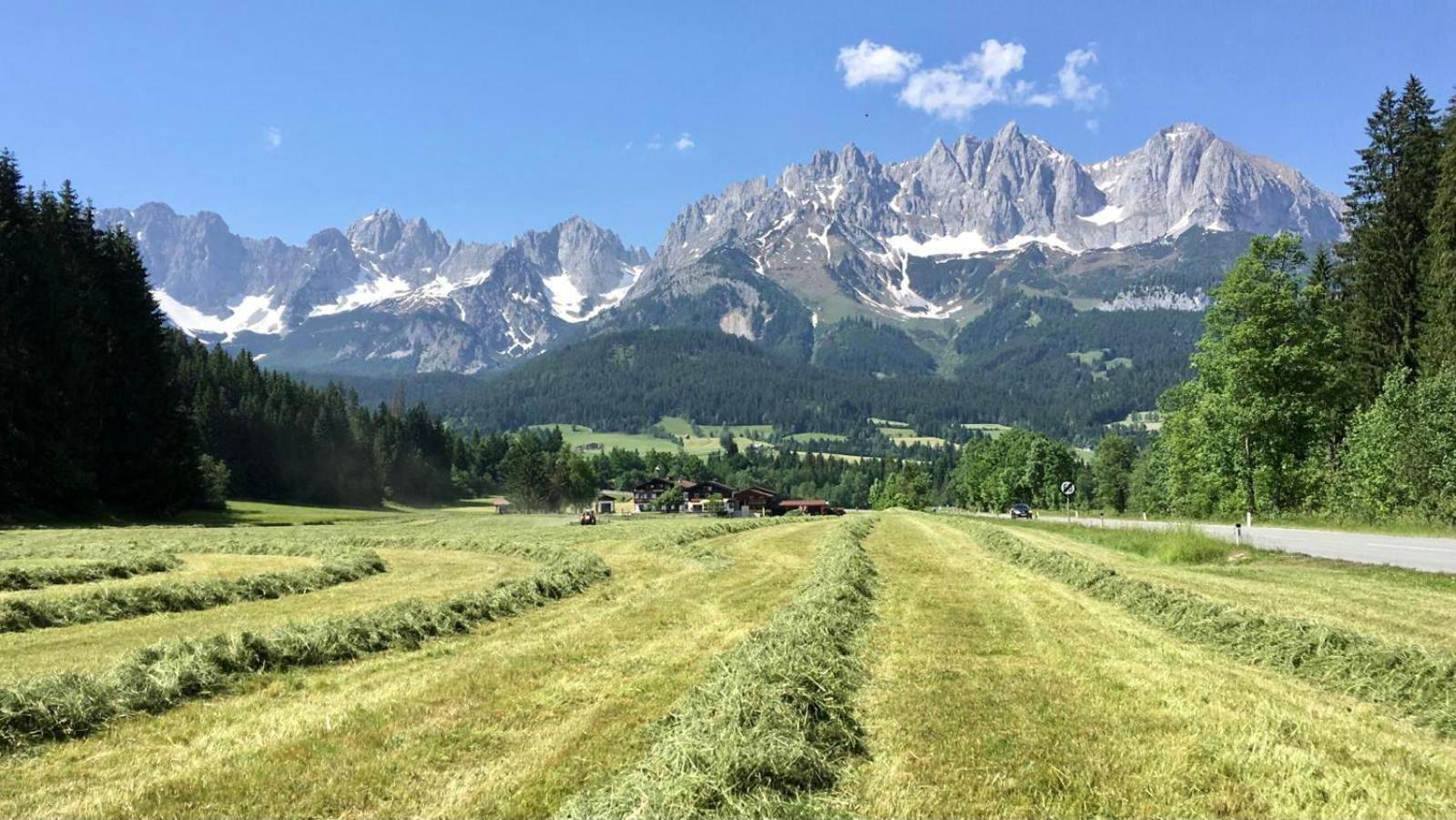 Fritzenhof Farm stay
