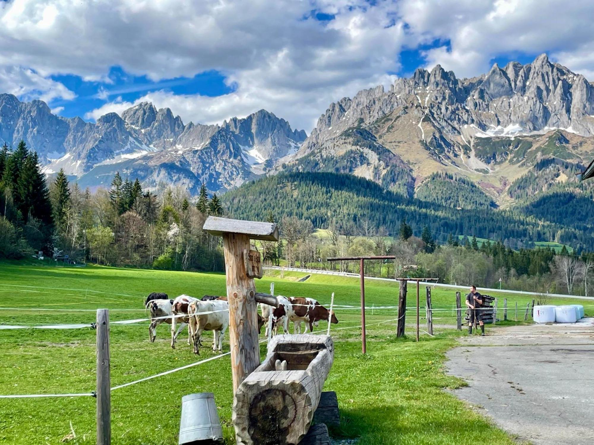Fritzenhof Farm stay *